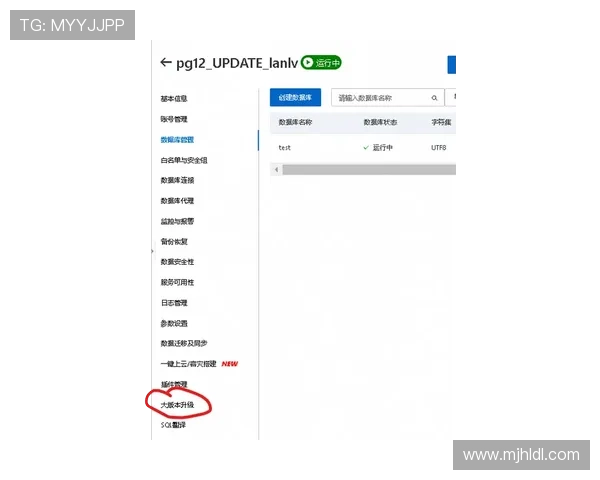 pG赚钱网站大小双最新攻略助你轻松实现收益最大化